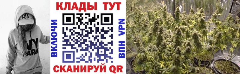 Купить наркотики Дрезна A-PVP  МЕФ  АМФЕТАМИН  Cocaine  Марихуана 