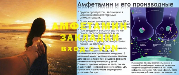 кокс Гусев