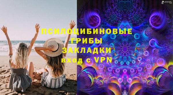кокс Гусев