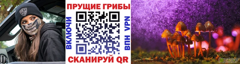 KRAKEN рабочий сайт  купить наркотик  Дрезна  Галлюциногенные грибы GOLDEN TEACHER 